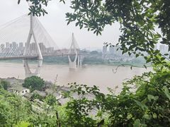 -大渡口区义渡公园