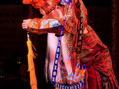 -白家大院·王府宫廷菜(苏州街店)