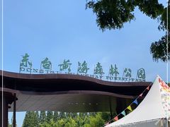 -黄海国家森林公园