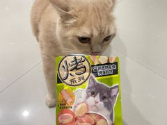 -Olé精品超市(海上世界店)