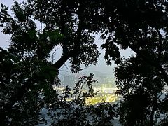 -紫金山山顶公园