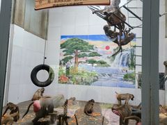 -西安秦岭野生动物园