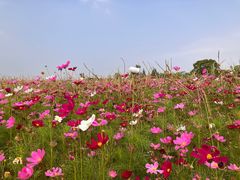 -嘉北郊野公园