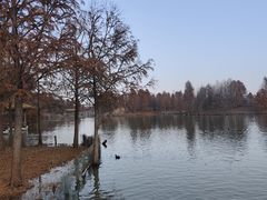 -宁波杭州湾国家湿地公园