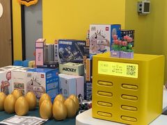 -新东方素质(金源校区)