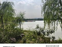 -云龙湖旅游景区