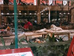 门面-白虎自助餐厅·真老虎·景观自助餐厅(广州长隆酒店)