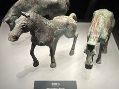 -邯郸市博物馆(新馆)