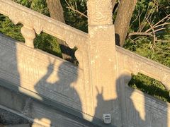 -淄博聊斋城景区