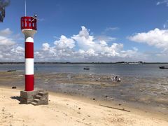 -北海金海湾红树林生态旅游区