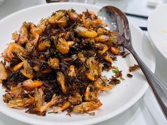 -新吉士·上海菜(浦东LCM置汇旭辉店)