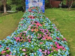 -武汉园博园(武汉自然博物馆)