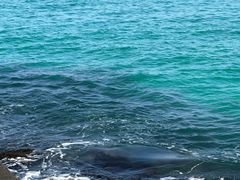 -咸德海水浴场