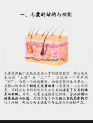 -Bollins波林丝•专研护发中心