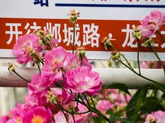 -南京国际青年文化中心