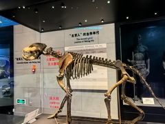 -北京周口店北京人遗址博物馆
