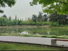 -两河城市森林公园