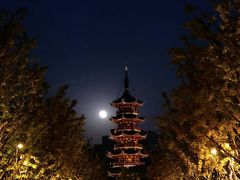 -龙华寺