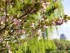 -运河游船(武林门码头)