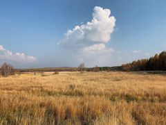 -塞罕坝国家级自然保护区