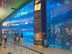 -迪拜水族馆及水下动物园