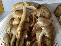 -菌之家·专业纯野生菌火锅·特色炒菌