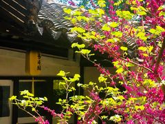 -常熟方塔园
