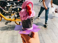 -麦当劳(花园北路店)