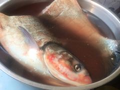 -庆岭迎宾园正宗活鱼馆