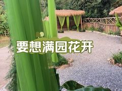 -北仑森林植物园
