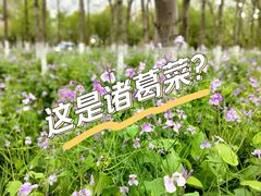 -白塘生态植物园