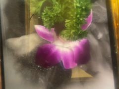 -山城年华老火锅(玉林店)