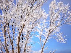 -中旅松花湖滑雪场