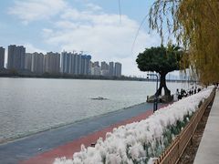 -咸阳湖景区
