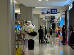 -红星美凯龙(上海沪南店)