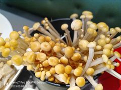 -海底捞火锅(万象城店)