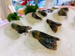-荔城生鲜盛宴(番禺旗舰店)