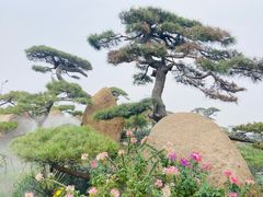 -罗红摄影艺术馆