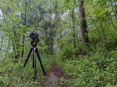 -铁山坪森林公园