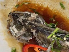 -八仔大富楼·河鲜(西江店)