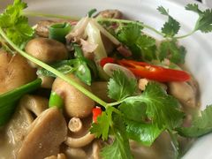 -野菌皇海景野生菌火锅(滨海大道店)