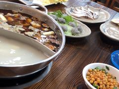 -肥婆麻辣火锅.顺德首创药材麻辣火锅(容桂店)