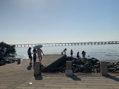 -宝安西湾红树林湿地公园