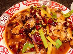 -酒肉行·虎子盐筋烤肉(大寨路店)