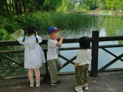 -合肥滨湖国家森林公园