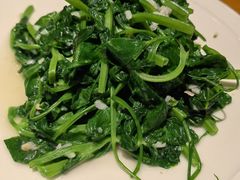 清炒豌豆尖-山茶云南菜(中关村店)