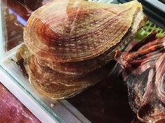 -洞里萨湖