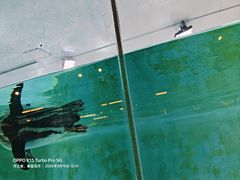 -北戴河圣蓝海洋公园