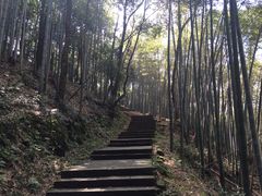 -西湖风景区十里琅珰-五云山