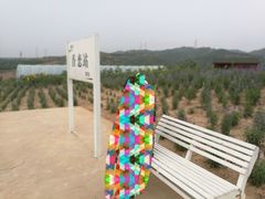 -薰衣草NE庄园